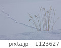 足跡 1123627