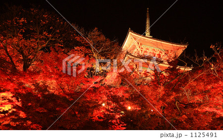 紅葉 紅葉 1125491
