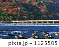 紅葉 1125505