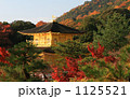 紅葉 1125521