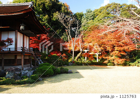 洛西の名園（大河内山荘） 1125763