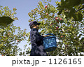 農業　りんご 1126165