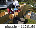 農業　りんご 1126169