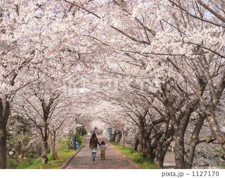 おかあさんといっしょ 1127170