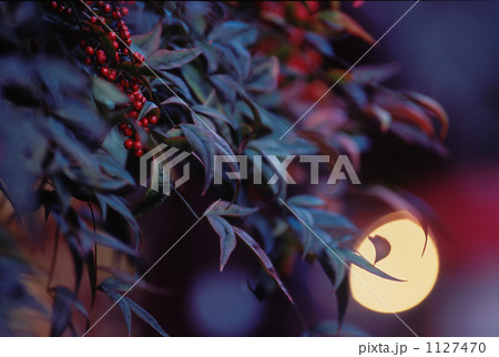 1127470