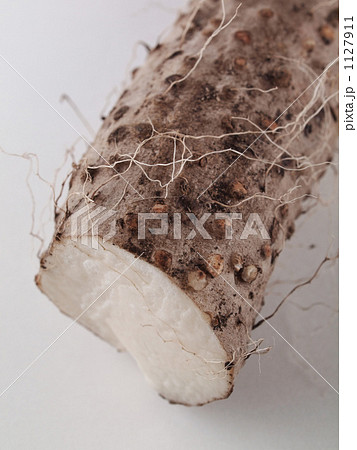 粘りが違う 1127911