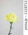 カーネーション黄1 1128712