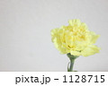 カーネーション黄3 1128715