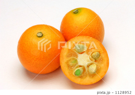 キンカン 1128952