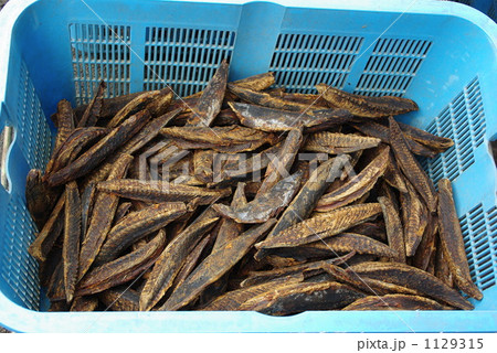 かつお節 1129315