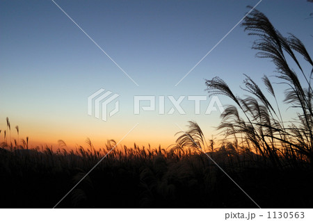 晩秋の夕暮れ 晩秋の夕暮れ 1130563