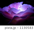 光る薔薇 1130583