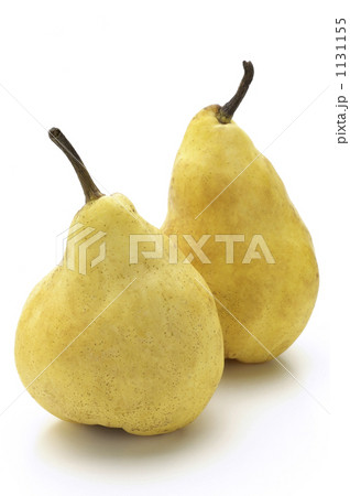 ル・レクチェ ル・レクチェ 1131155