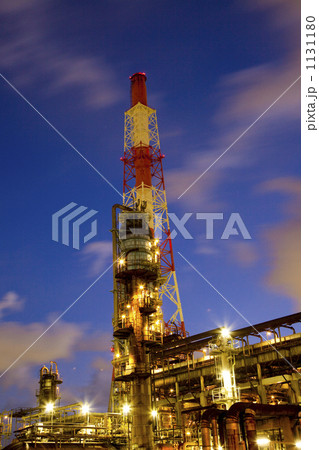 プラント 1131180