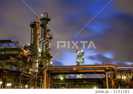 プラント 1131181