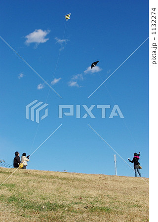 カイト カイト 1132274