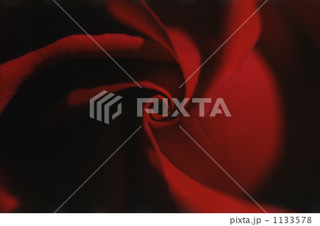1133578