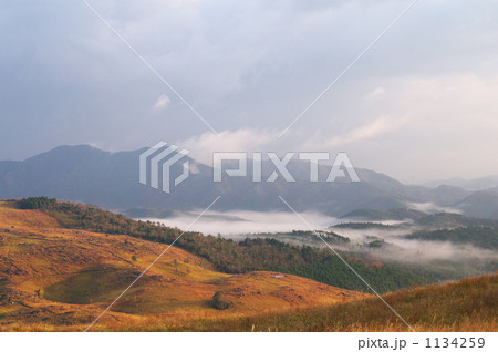 秋吉台朝霧 1134259