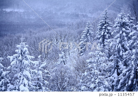 冬山 冬山 1135457