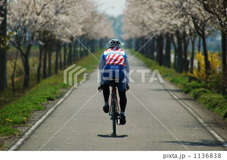 春のサイクリング 1136838