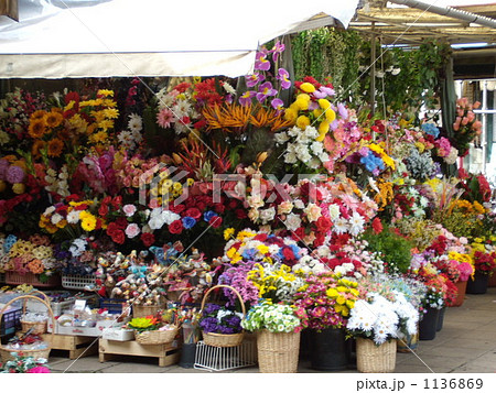 花 マーケット ヨーロッパの写真素材