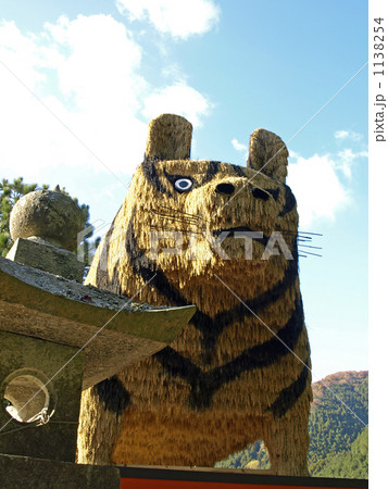 干支の虎 干支の虎 1138254