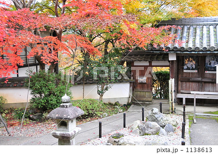 勝持寺の紅葉 勝持寺の紅葉 1138613