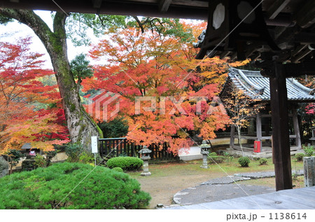 勝持寺の紅葉 勝持寺の紅葉 1138614