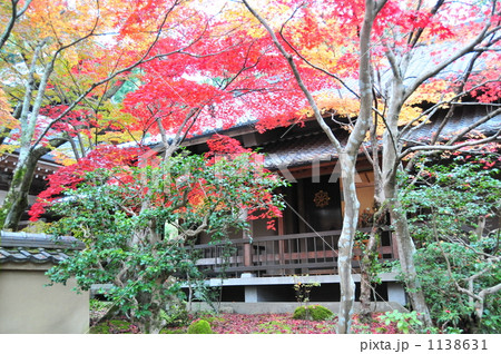 勝持寺の紅葉 1138631