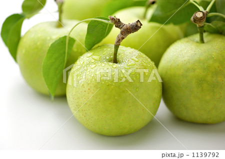 二十世紀梨 1139792