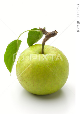 二十世紀梨 1139805