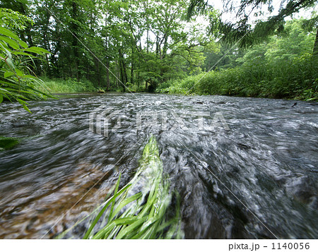 森の中の清流 森の中の清流 1140056