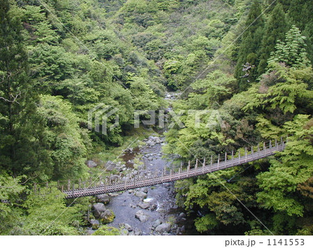 五家荘樅木吊橋 五家荘樅木吊橋 1141553