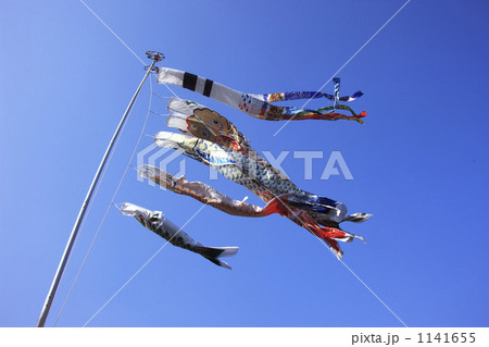 鯉のぼり 1141655