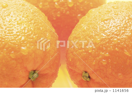 オレンジ 1141656