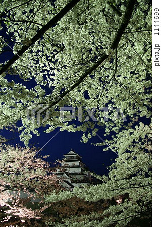 鶴ヶ城の桜 鶴ヶ城の桜 1144699
