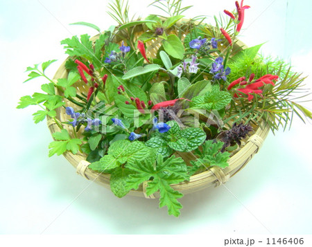香りの花かご 1146406