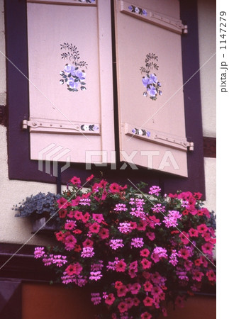 窓辺の花 1147279