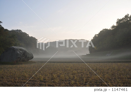 朝霧煙る早朝の散歩 朝霧煙る早朝の散歩 1147461