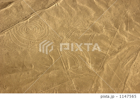 ナスカの地上絵 猿 ナスカの地上絵 猿 1147565