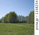 フィンランドの野原 1148254
