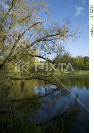 フィンランドの池 1148255