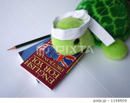 はちまき巻いて　がんばります 1148609