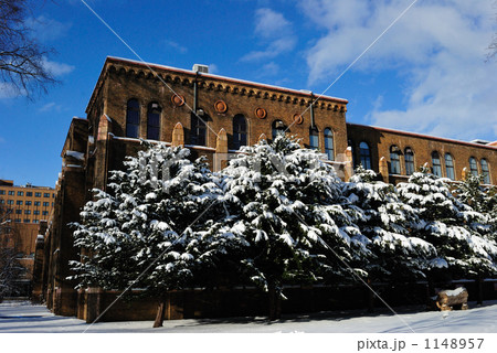 北海道大学総合博物館と積雪 1148957