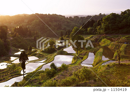 夜明けの蒲生の棚田 1150419