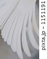 白鳥の羽 1151191