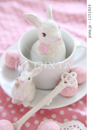 ガーリーなうさぎ ガーリーなうさぎ 1151924