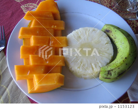 パパイヤ パパイヤ 1153123