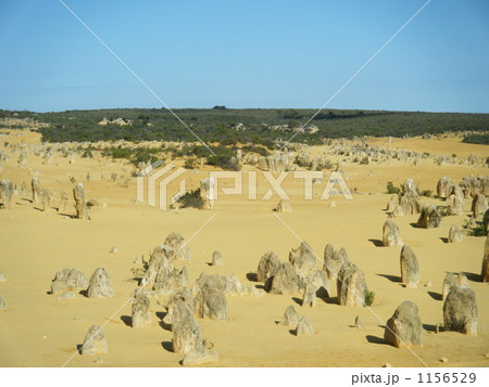 奇岩ピナクルズの風景③ 1156529