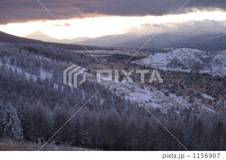 霧ヶ峰　雪景 1156907